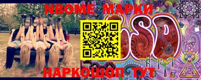 гидра Камень-на-Оби