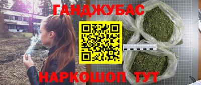 гидра Камень-на-Оби