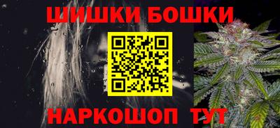 гидра Камень-на-Оби