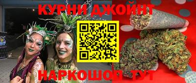гидра Камень-на-Оби