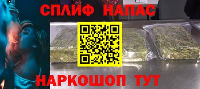 гидра Камень-на-Оби
